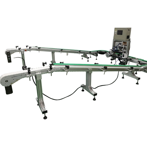 Flexible chain conveyor